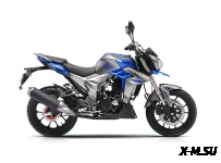 Мотоцикл Regulmoto T-Leopard 300