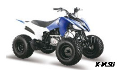 Квадроцикл ATV Pantera 200 CVT