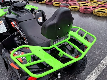 Квадроцикл PROMAX RENEGADE 300 WINCH PRO