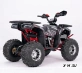 Квадроцикл YACOTA Sirius LD 125