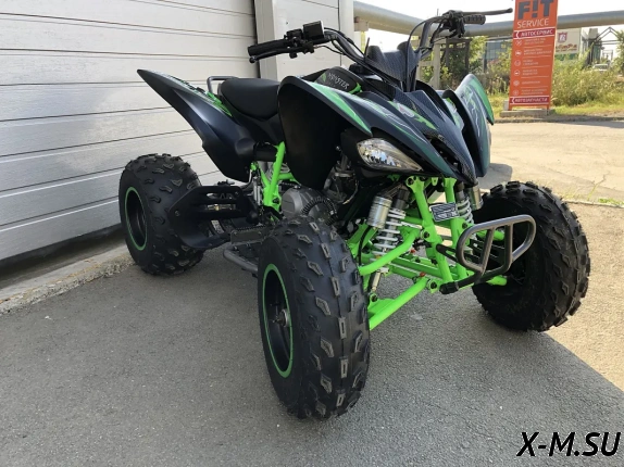 Квадроцикл PROMAX RAPTOR 320 Monster