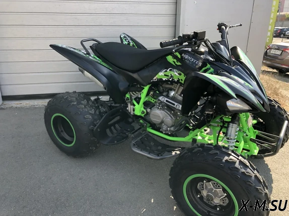 Квадроцикл PROMAX RAPTOR 320 Monster