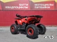 Квадроцикл PROMAX WILD 175 BASIC