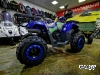 Квадроцикл PROMAX WILD 300 LUX (2024)