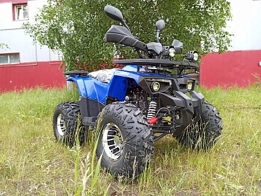 КВАДРОЦИКЛ PROMAX WILD 180 PRO