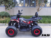 Квадроцикл GBM MAVERICK 300 NEW