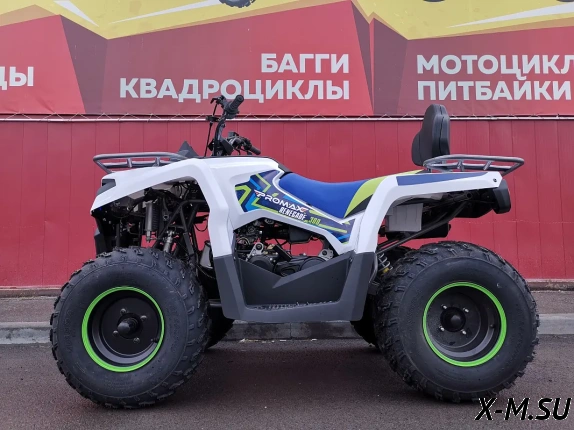 Квадроцикл PROMAX RENEGADE 300