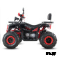 Квадроцикл WHITE SIBERIA BARS L200