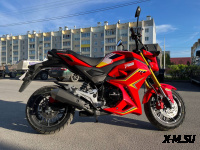 Мотоцикл PROMAX STRYKER 200(49)