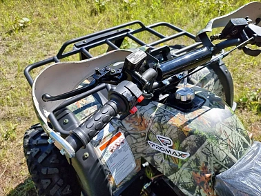 Квадроцикл PROMAX ATV 250
