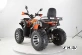 Квадроцикл YACOTA SELA MAX 200