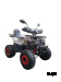 Квадроцикл WELS THUNDER AX125 PRO